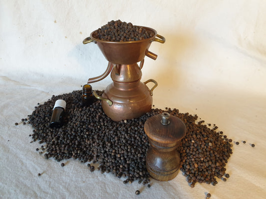 Hydrolat de Poivre Noir