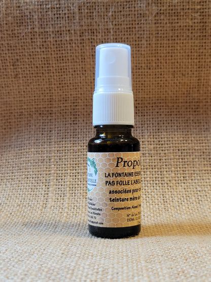 Teinture-mère de Propolis