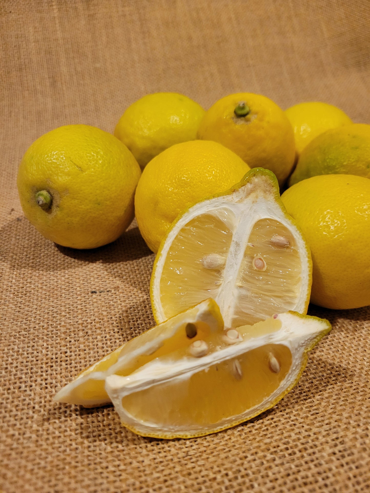 Hydrolat de Citron Bio