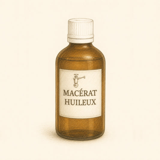 Macérât huileux de Carotte Bio