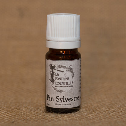Huile Essentielle de Pin Sylvestre
