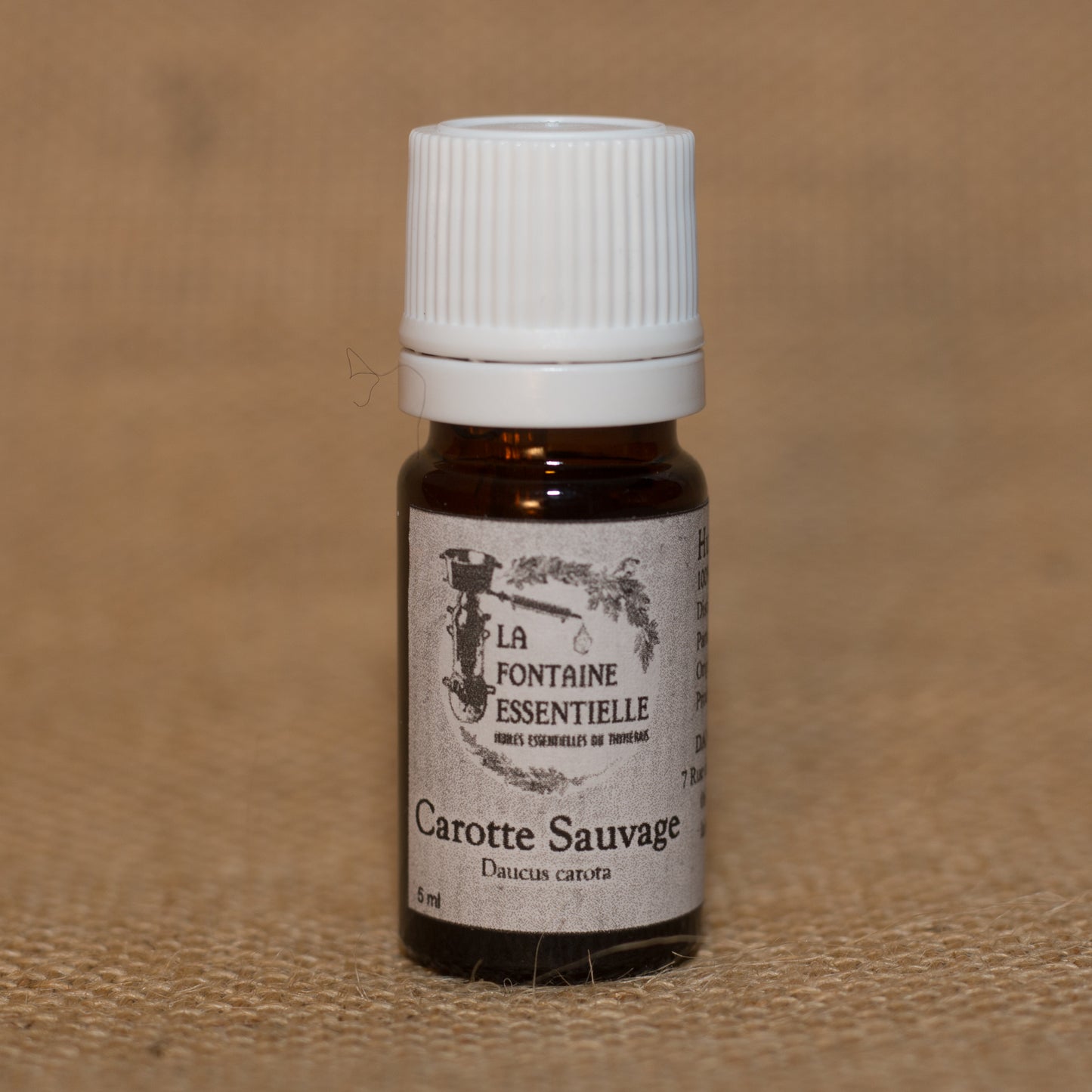 Huile Essentielle de Carotte Sauvage