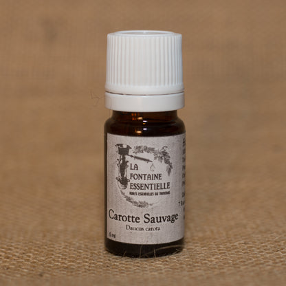 Huile Essentielle de Carotte Sauvage