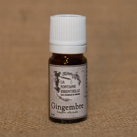 Huile Essentielle de Gingembre
